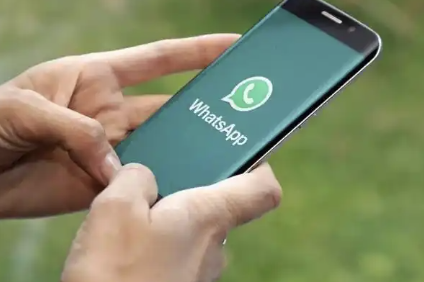 WhatsApp软件聊天