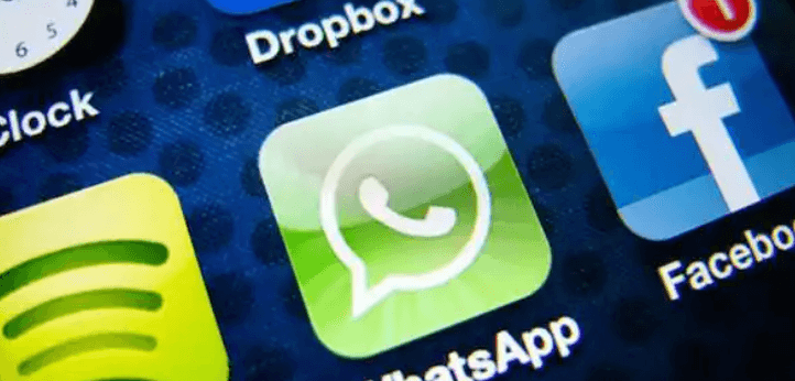 WhatsApp软件账户