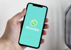 WhatsApp 中文