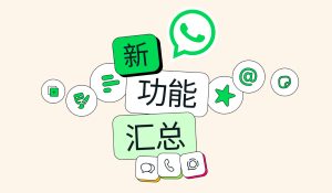 WhatsApp多项功能