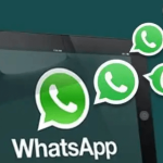 WhatsApp软件群组