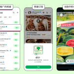 iPad 版 WhatsApp