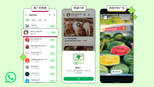 iPad 版 WhatsApp