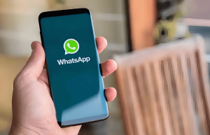 WhatsApp 网页版客户端